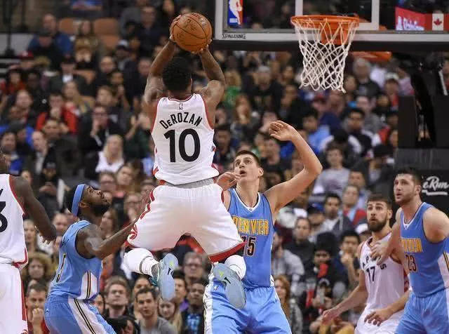 雄鹿管理层 雄鹿管理层