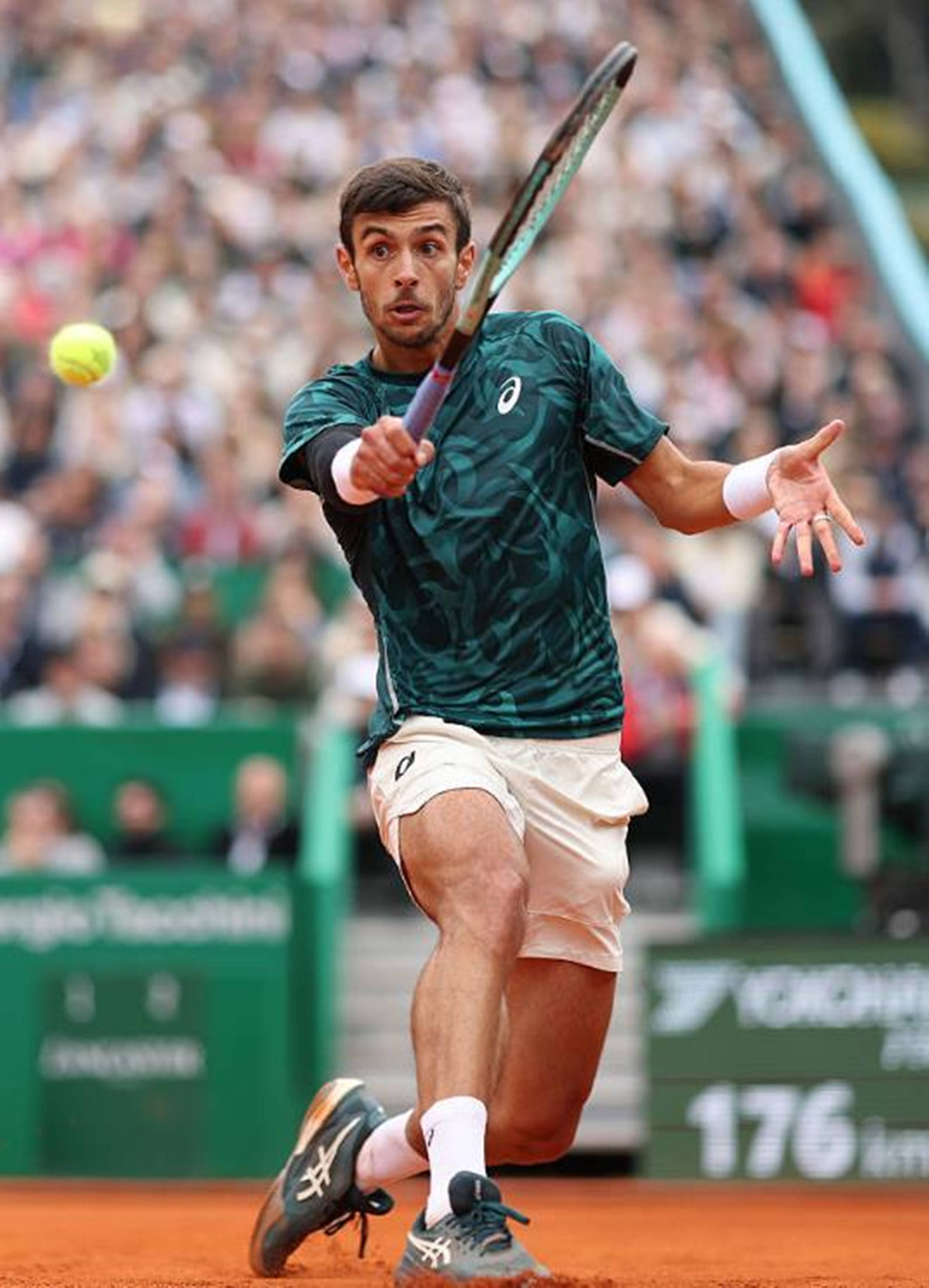 的方法论 的方法论